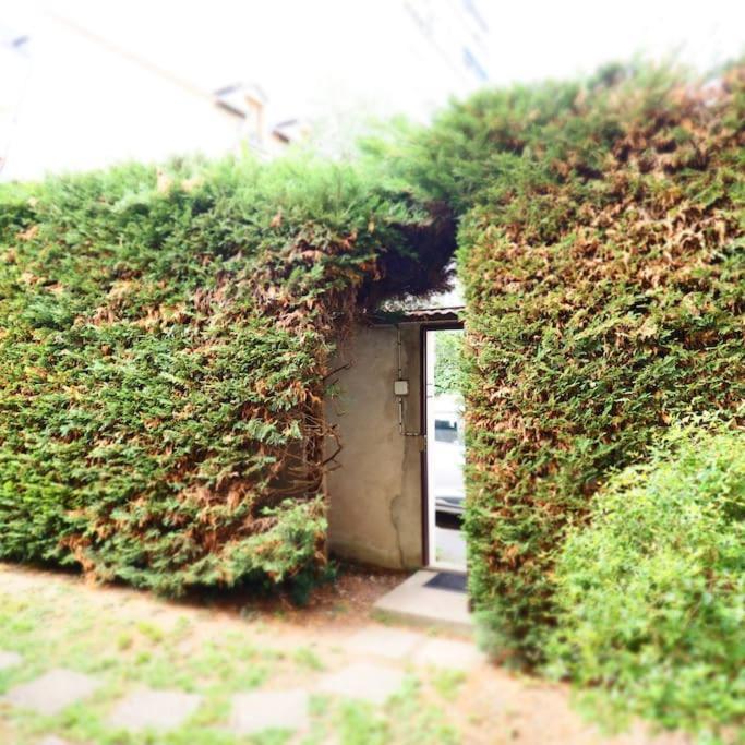 Maison Faure - Centre Ville - Jardin - Garage Vichy Eksteriør billede
